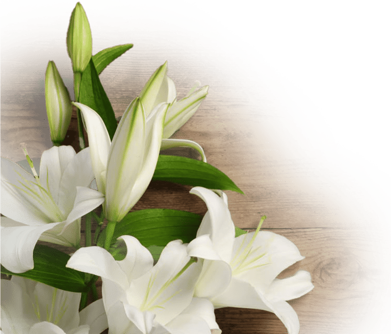 White lilies arranged on a rustic wooden background, symbolizing remembrance and peace